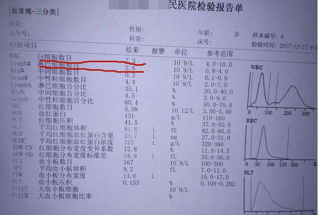 國際新冠肺炎最新動態(tài)下的溫馨日常觀察與記錄
