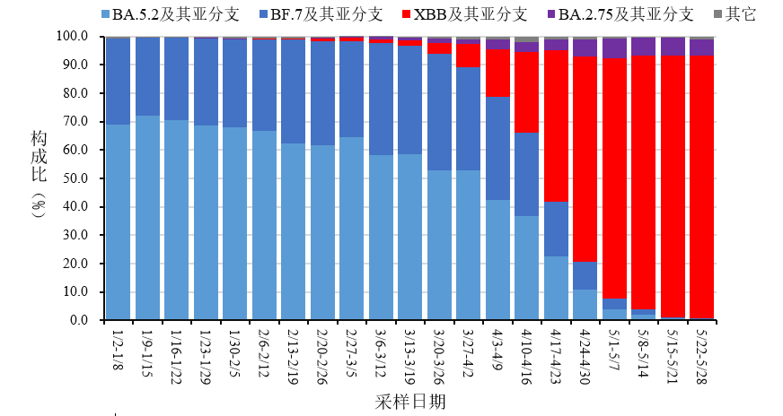 新疆疫情最新動態(tài)，自然療愈之旅助力重拾內(nèi)心寧靜與微笑