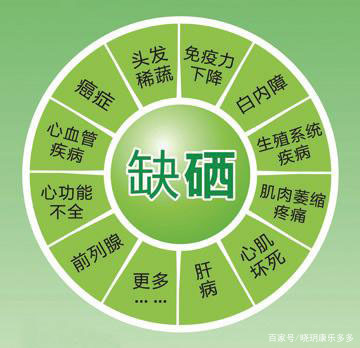 硒鏈最新消息,重磅推出硒鏈，科技新星，引領(lǐng)健康生活新紀(jì)元