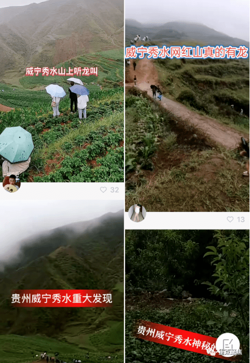 秀水龍叫的日常趣事與情感紐帶，最新動(dòng)態(tài)揭秘！