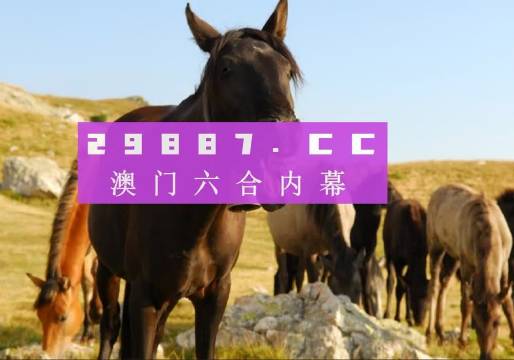 2025澳門管家婆一肖,全盤細明說明_隨身版38.566