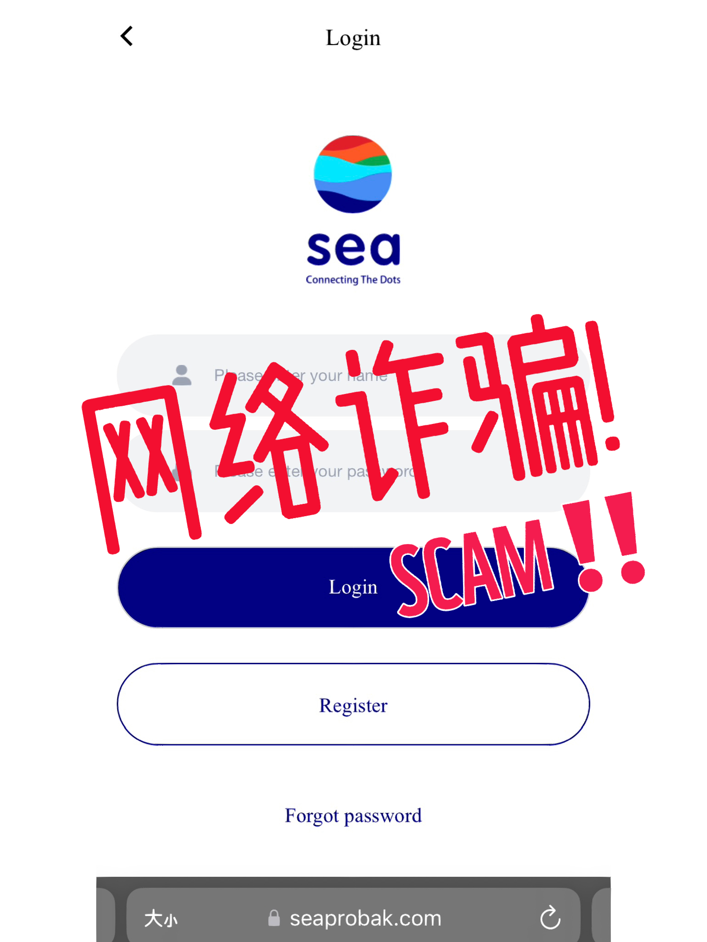 Saivian騙局揭秘，背后的力量與如何成就自信夢想