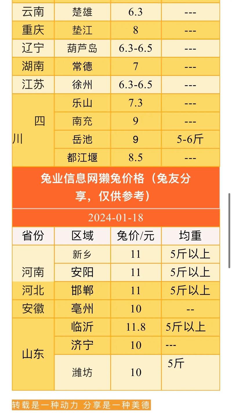 野兔最新價格觀點論述解析