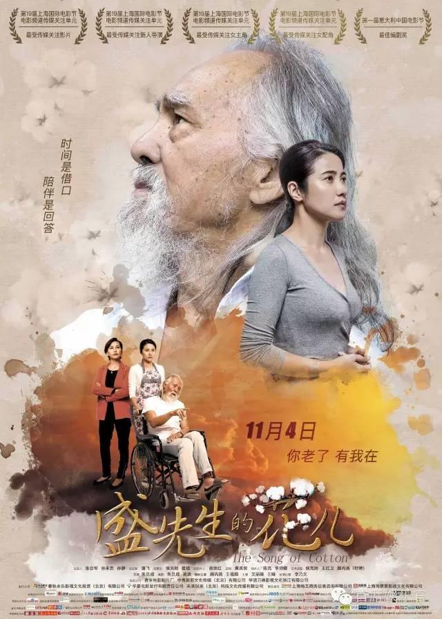 顏丙燕演藝之路的輝煌與影響，最新訪談揭秘影響力與成長歷程