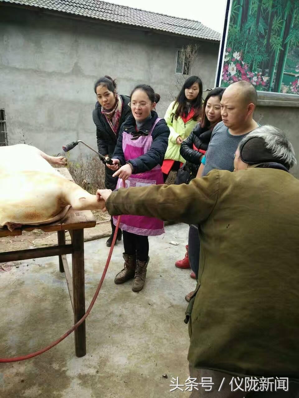 最新宰殺美女事件，時代悲劇下的反思