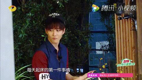 Nanhongyok最新動(dòng)態(tài)，多方觀點(diǎn)下的深度探討