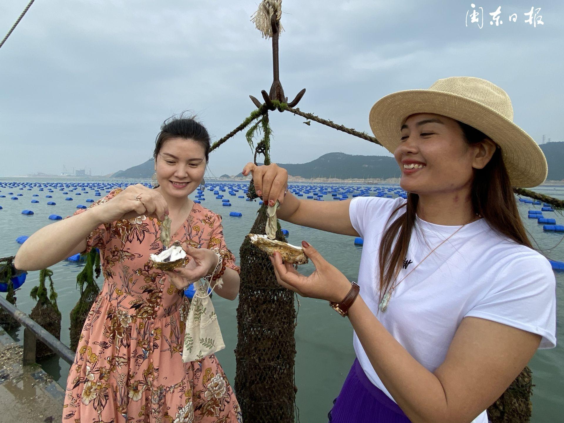 霞浦海參最新動(dòng)態(tài)與資訊