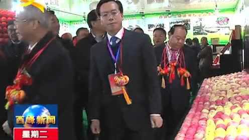 西峰新聞視頻最新更新，領(lǐng)略風(fēng)采，掌握時事動態(tài)