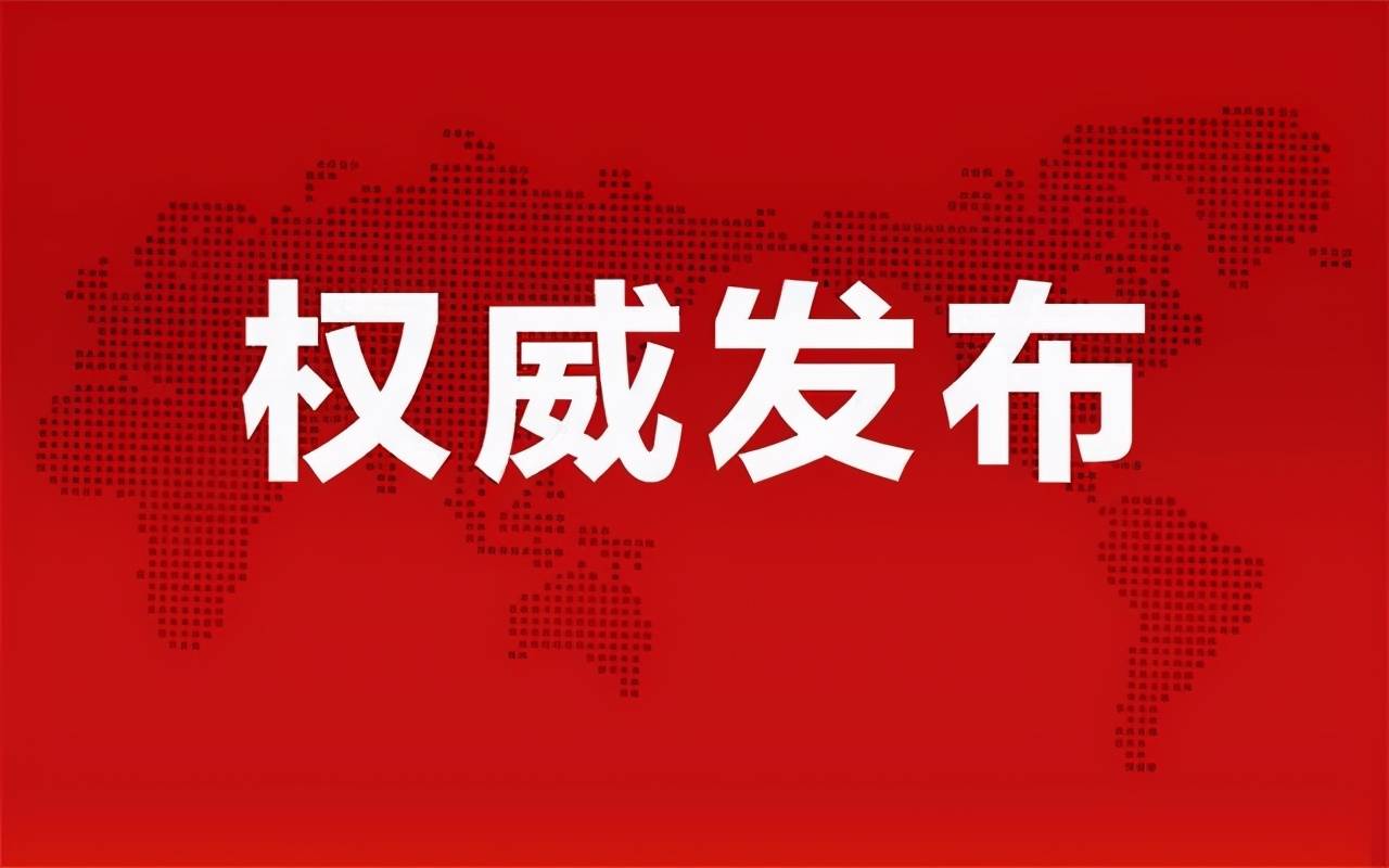 最新煤泥需求信息深度解析與分析報告
